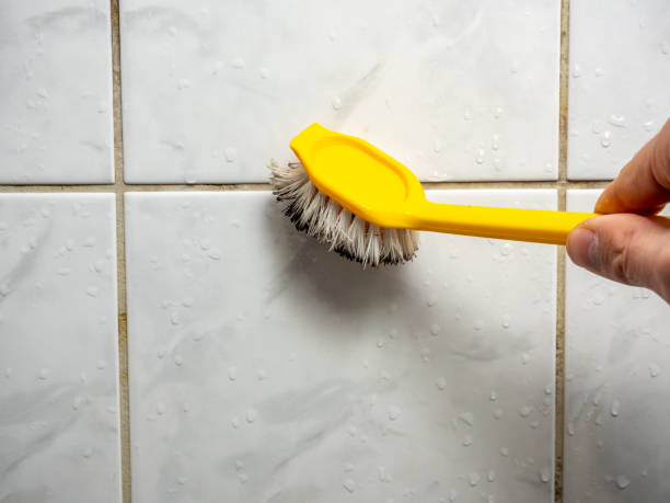Best Office Mold Removal Services  in Marshall, MO