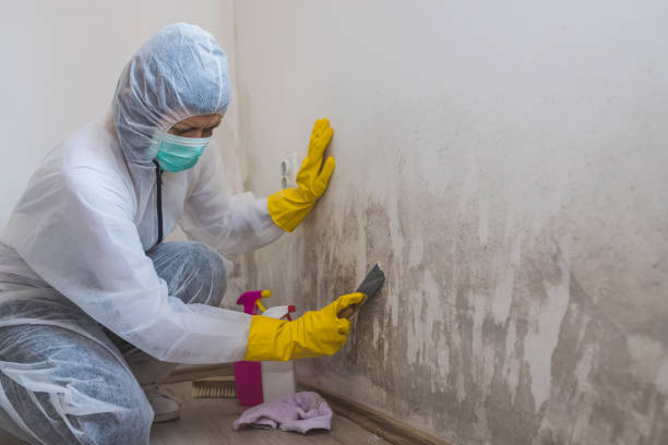 Best Emergency Mold Removal  in Marshall, MO