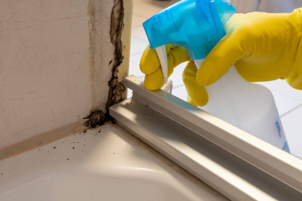 Best Emergency Mold Removal  in Marshall, MO