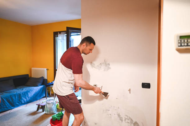 Home Mold Removal in Marshall, MO